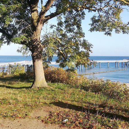 Ostseetraum Koserow Ngoại thất bức ảnh